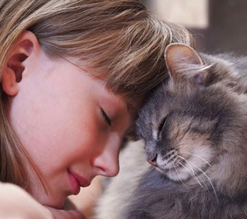 بیماری گربه به انسان