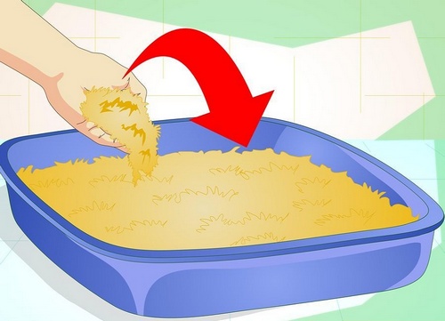 قطره دستشویی سگ چیست؟