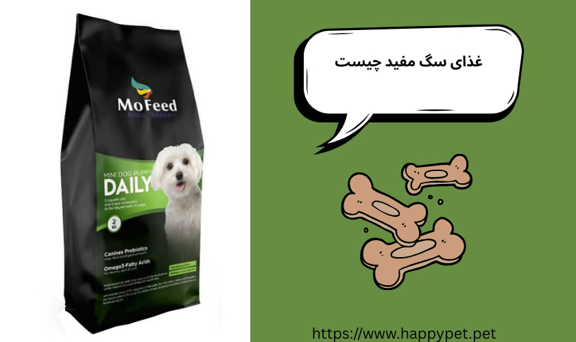 غذای سگ مفید چیست