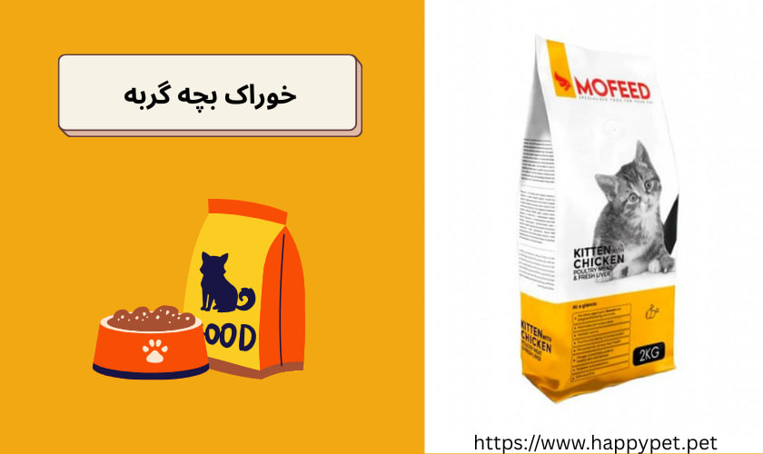 خوراک بچه گربه