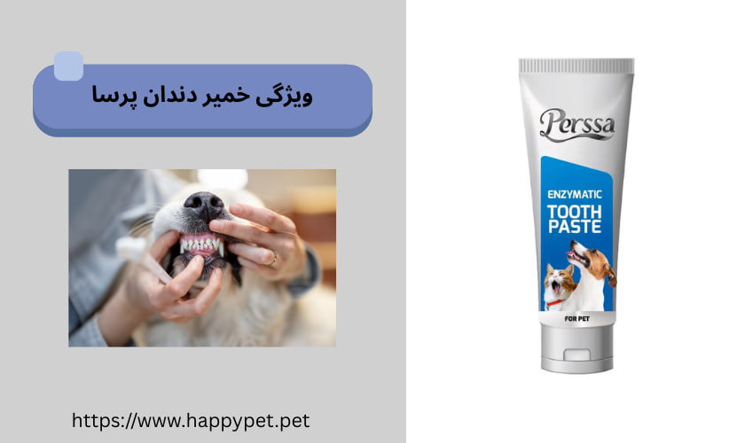 ویژگی خمیر دندان پرسا