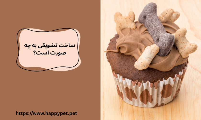 ساخت تشویقی به چه صورت است؟