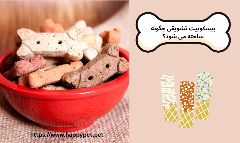 بیسکوییت تشویقی چگونه ساخته می شود؟