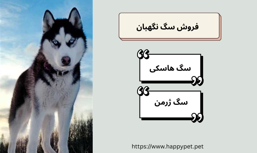 فروش سگ نگهبان