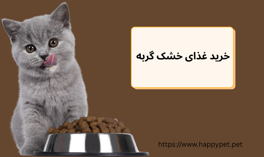 خرید غذای خشک گربه