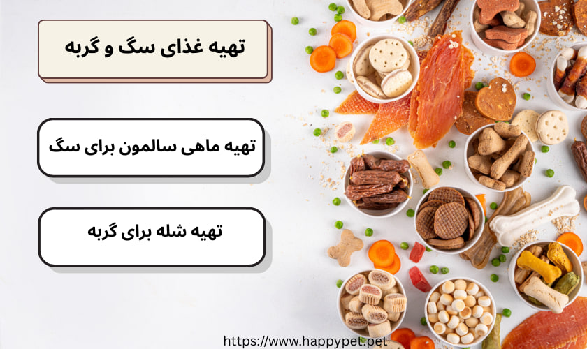 تهیه غذای سگ و گربه