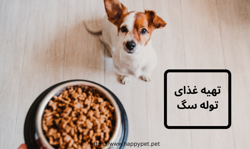 تهیه غذای توله سگ