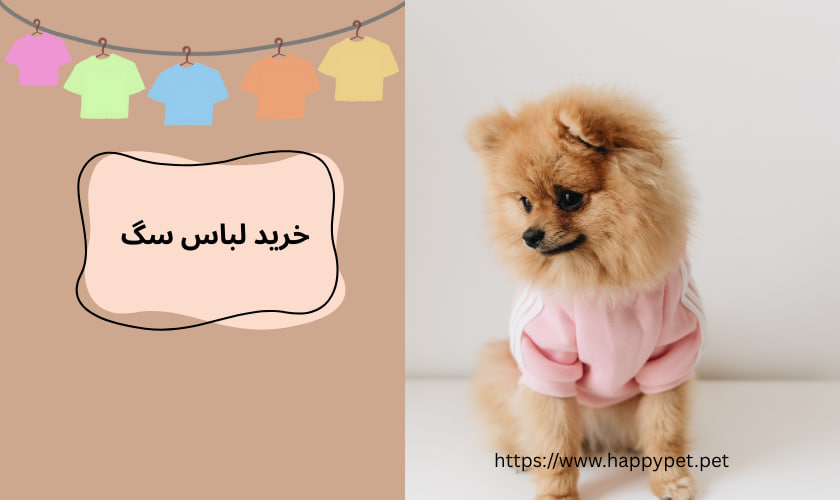 خرید لباس سگ