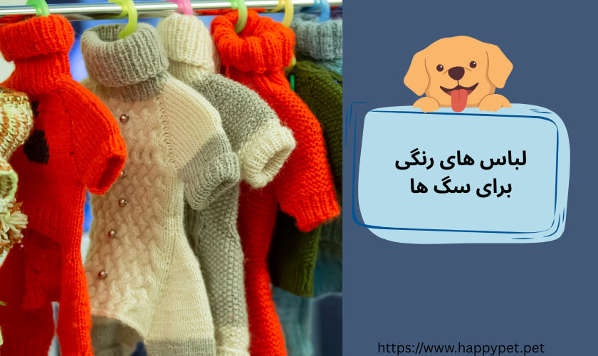 لباس های رنگی برای سگ ها