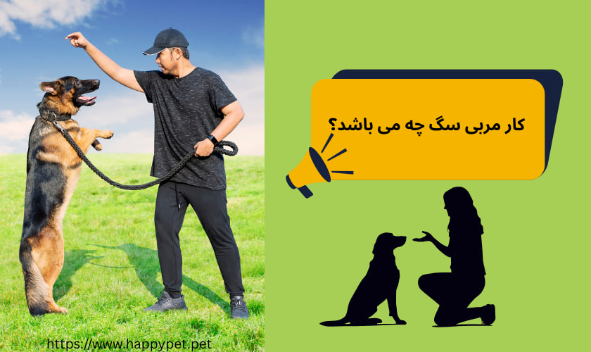 کار مربی سگ چه می باشد؟