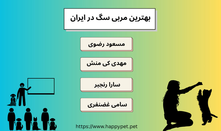 بهترین مربی سگ در ایران