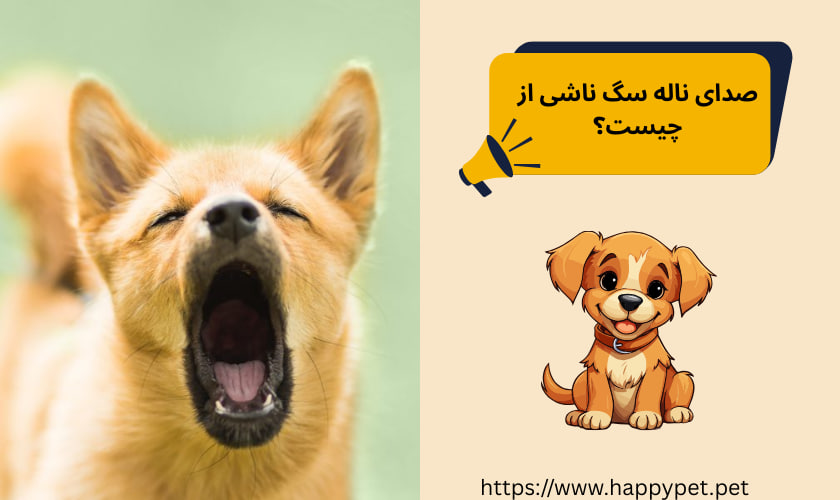 صدای ناله سگ ناشی از چیست؟