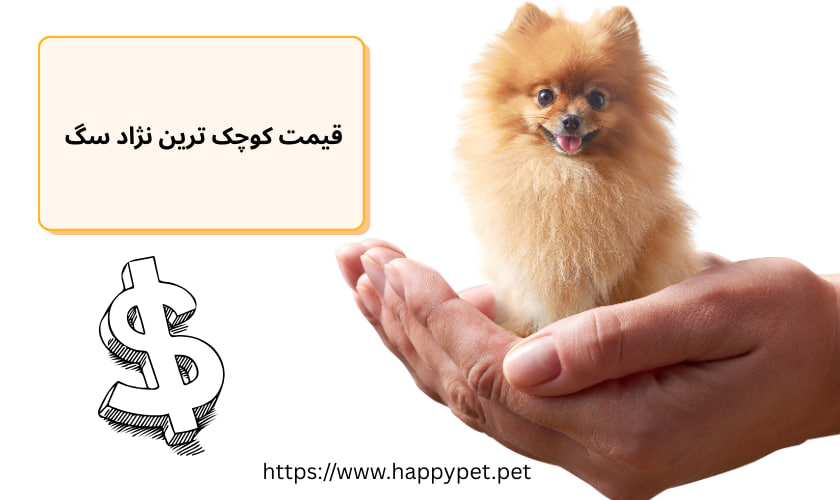 قیمت کوچک ترین نژاد سگ