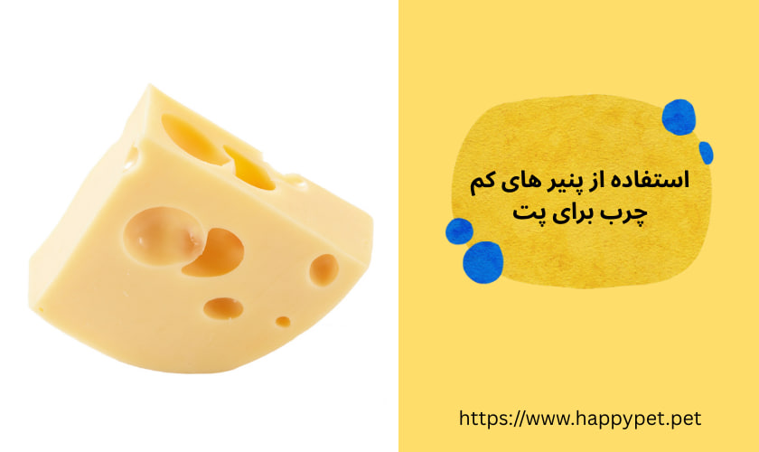 استفاده از پنیر های کم چرب برای پت