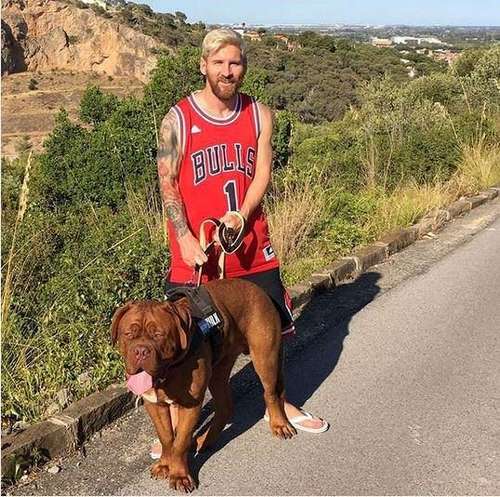 سگ Messi در اینستاگرام