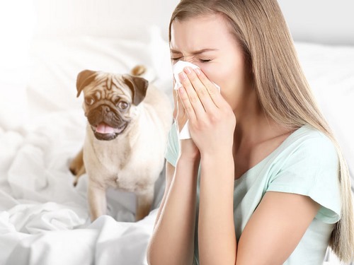 علائم آلرژی به سگ
