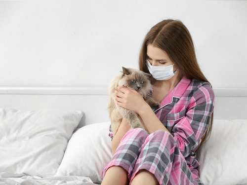 آلرژی به گربه در کودکان