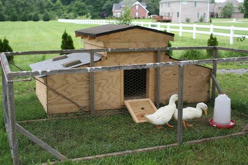 ساخت قفس اردک چوبی
