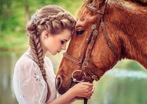 طول عمر زیباترین اسب چقدر است؟
