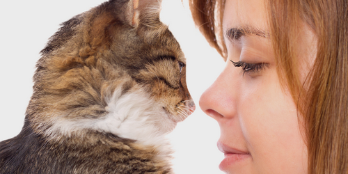 بیماری های مشترک بین گربه با انسان کدامند؟