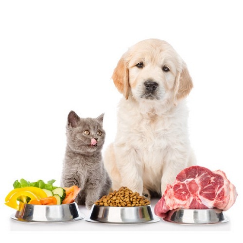 Compare dog and cat food