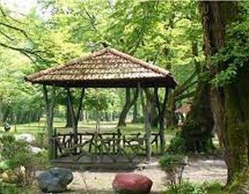 پارک جنگلی میرزا کوچک خان