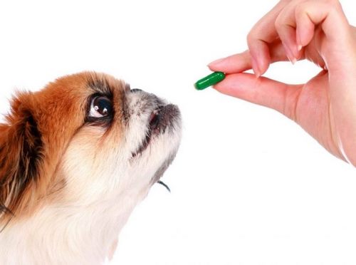 قیمت مولتی ویتامین سگ دکتر سایمون چقدر است؟