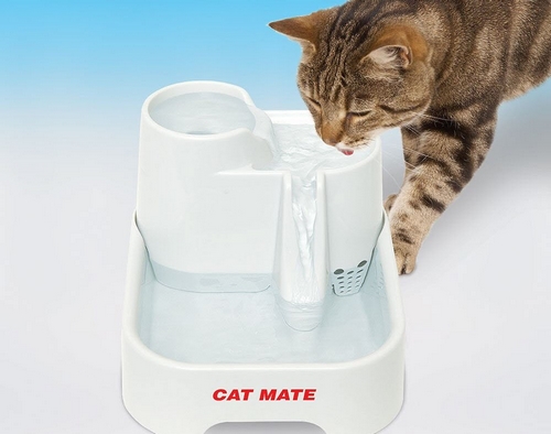 بهترین مدل های ظرف آب گربه کدامند؟