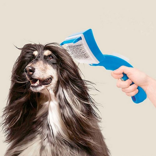 روش استفاده از پرزگیر موی سگ