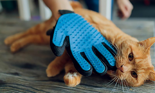 Cat_hair_gloves_1