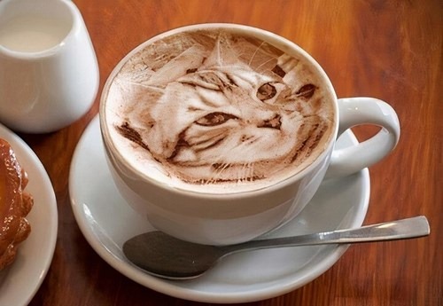 گربه در فال قهوه