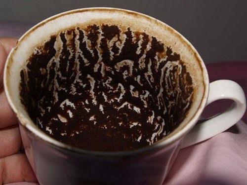 تعبیر اردک در فال قهوه چگونه است؟