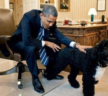 سگ اوباما