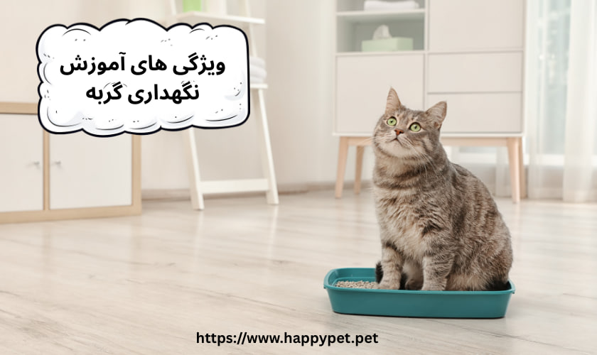 ویژگی های آموزش نگهداری گربه