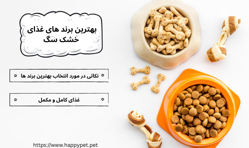 بهترین برند های غذای خشک سگ
