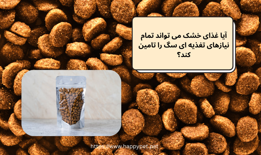 آیا غذای خشک می‌ تواند تمام نیازهای تغذیه‌ ای سگ را تامین کند؟