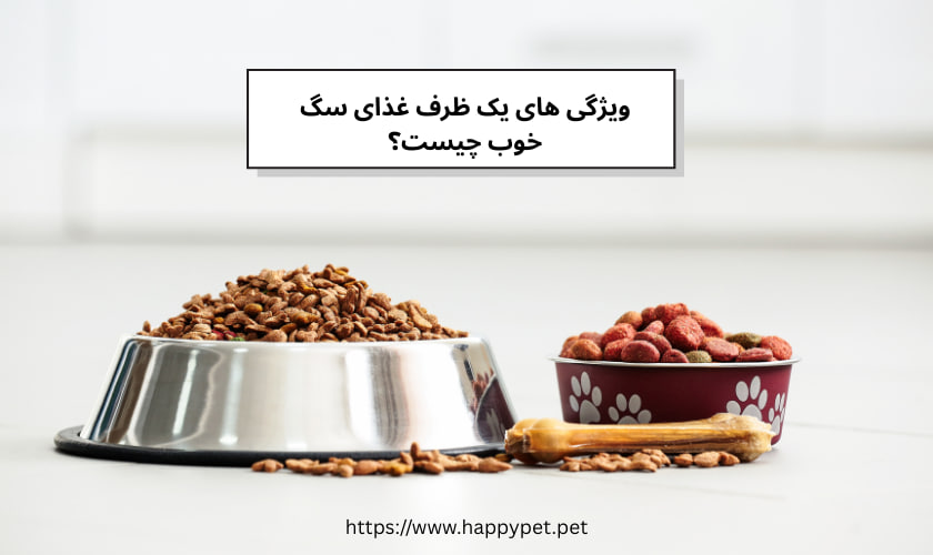ویژگی های یک ظرف غذای سگ خوب چیست؟
