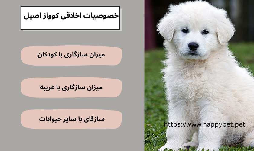 خصوصیات اخلاقی کوواز اصیل